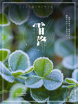 霜降海报