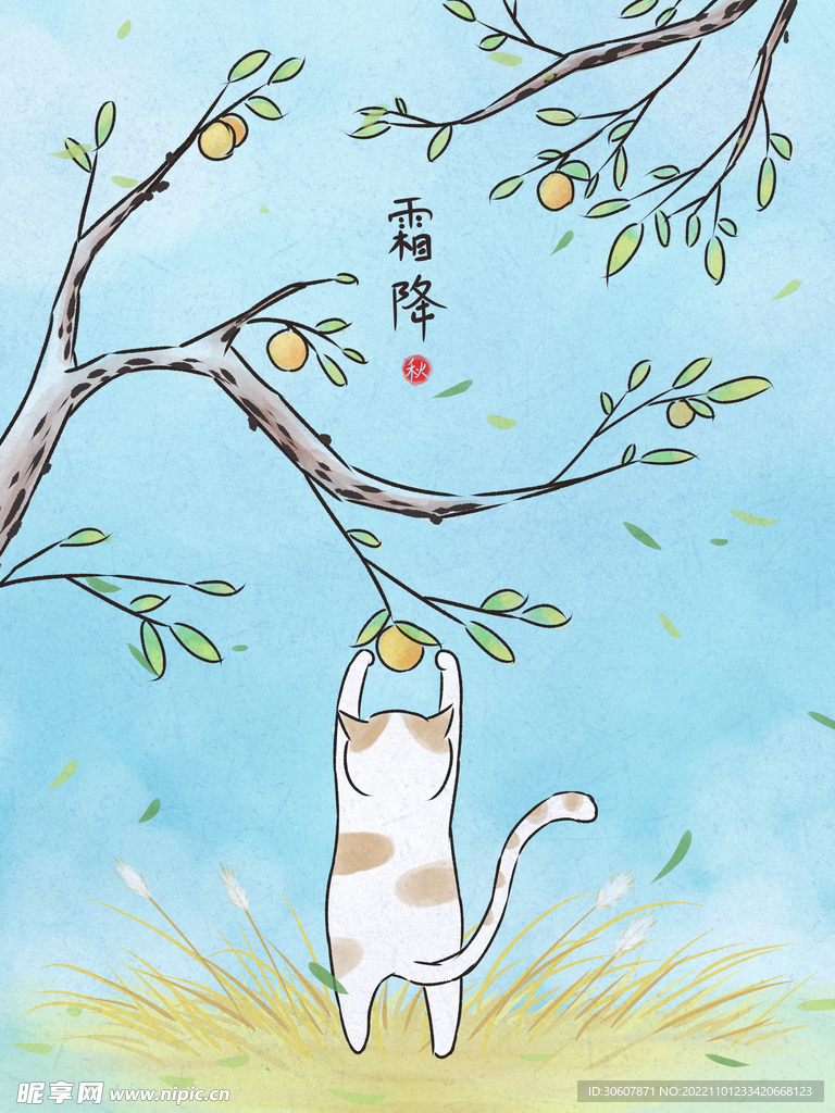 霜降海报