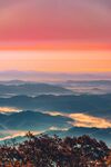 夕阳