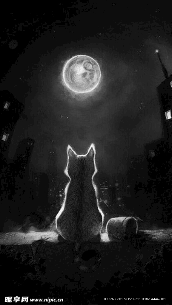 看月亮的猫咪