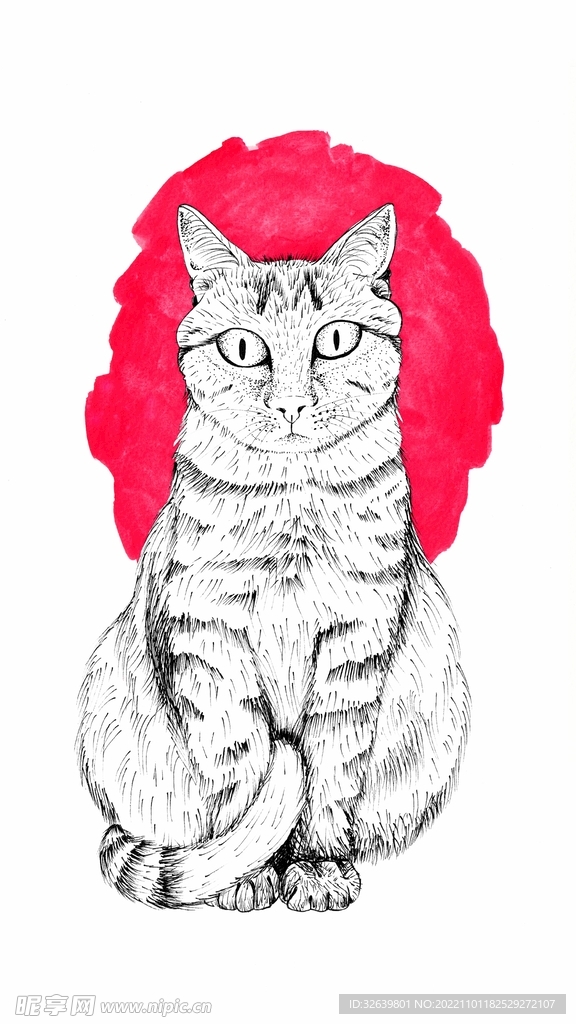 猫咪插画