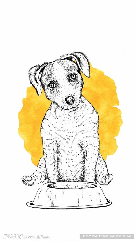 狗狗插画