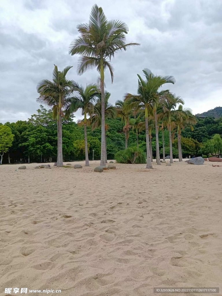 椰子树沙滩