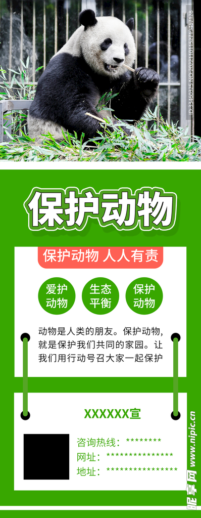 保护动物
