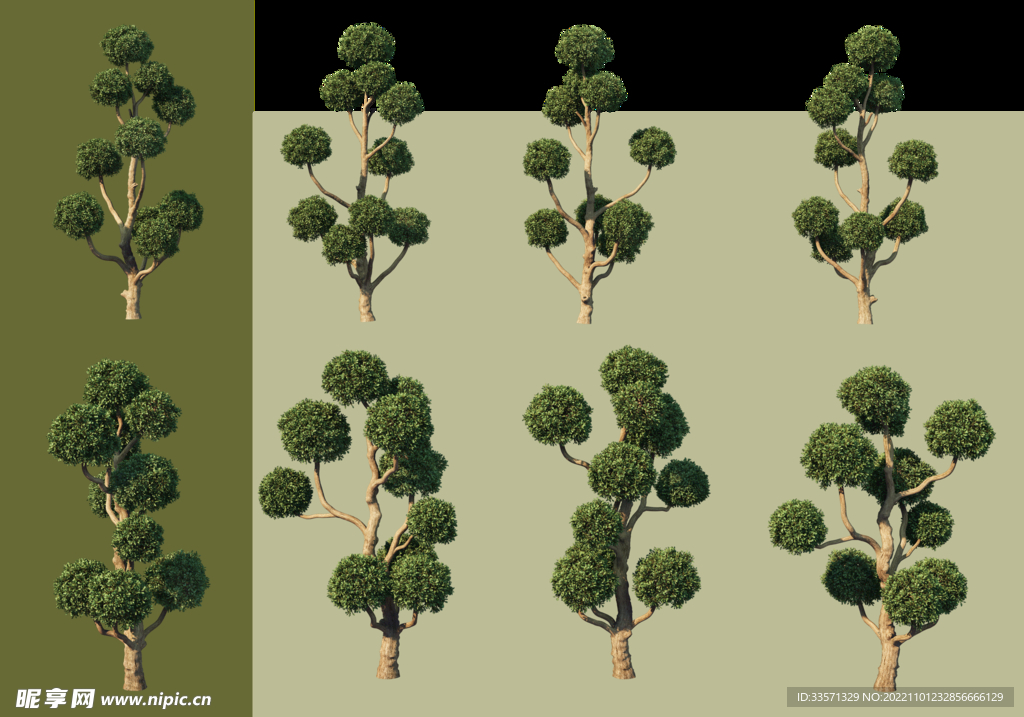 园林景观树超清免抠