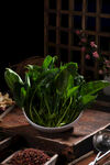 新鲜蔬菜菠菜
