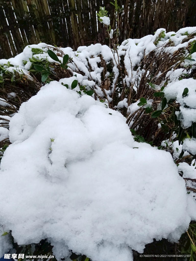 雪