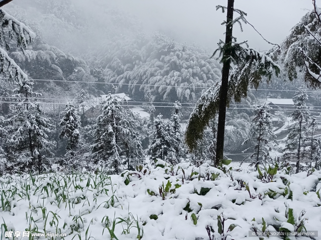 雪景
