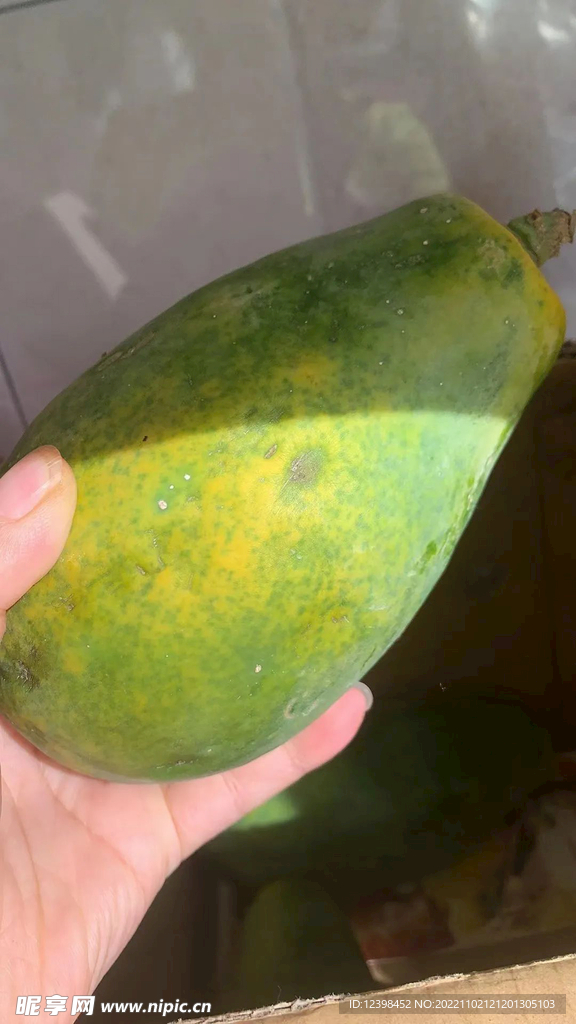 木瓜