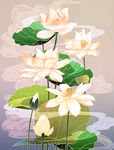 工笔莲花