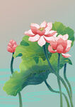 荷花