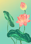 荷花