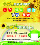 辅导班名