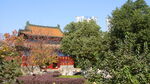 风景
