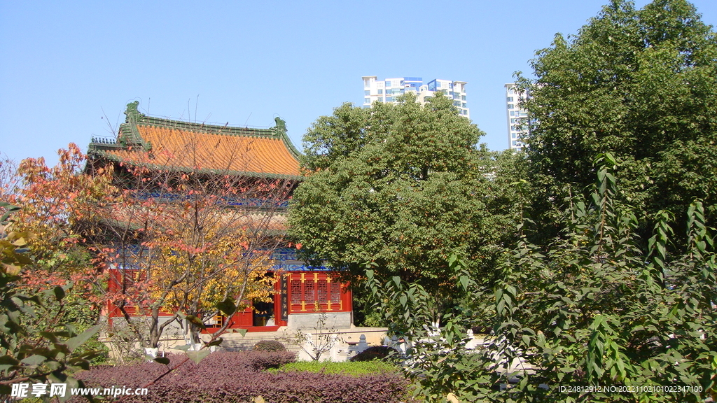 风景