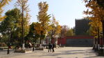 风景