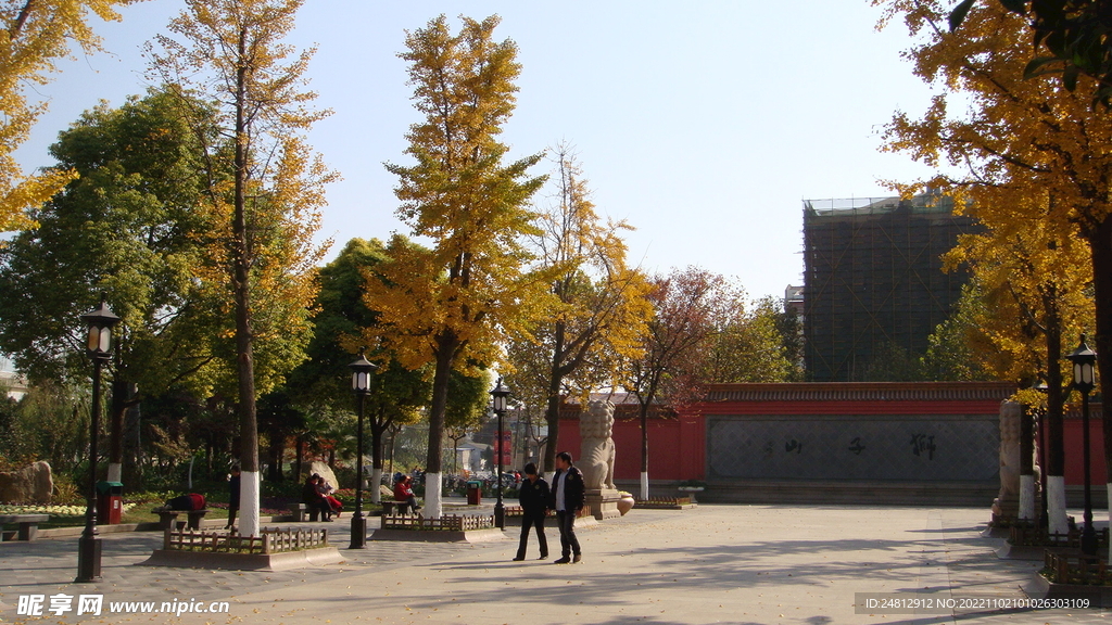 风景