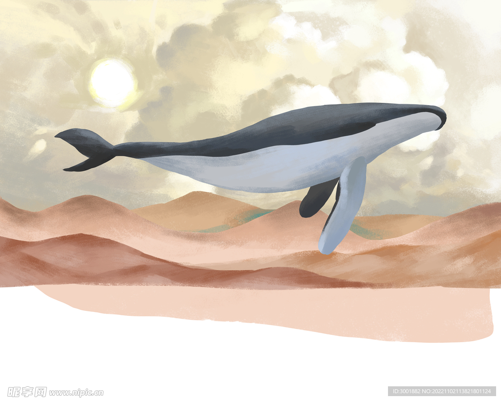 装饰画 卡通 鲸鱼