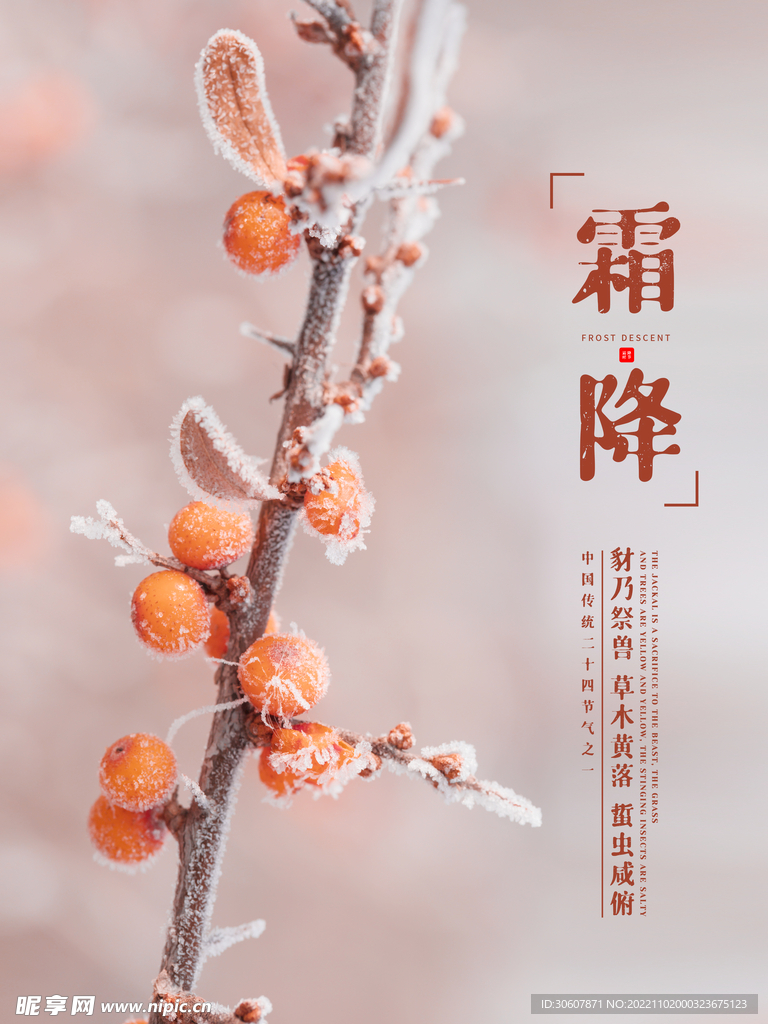 霜降海报