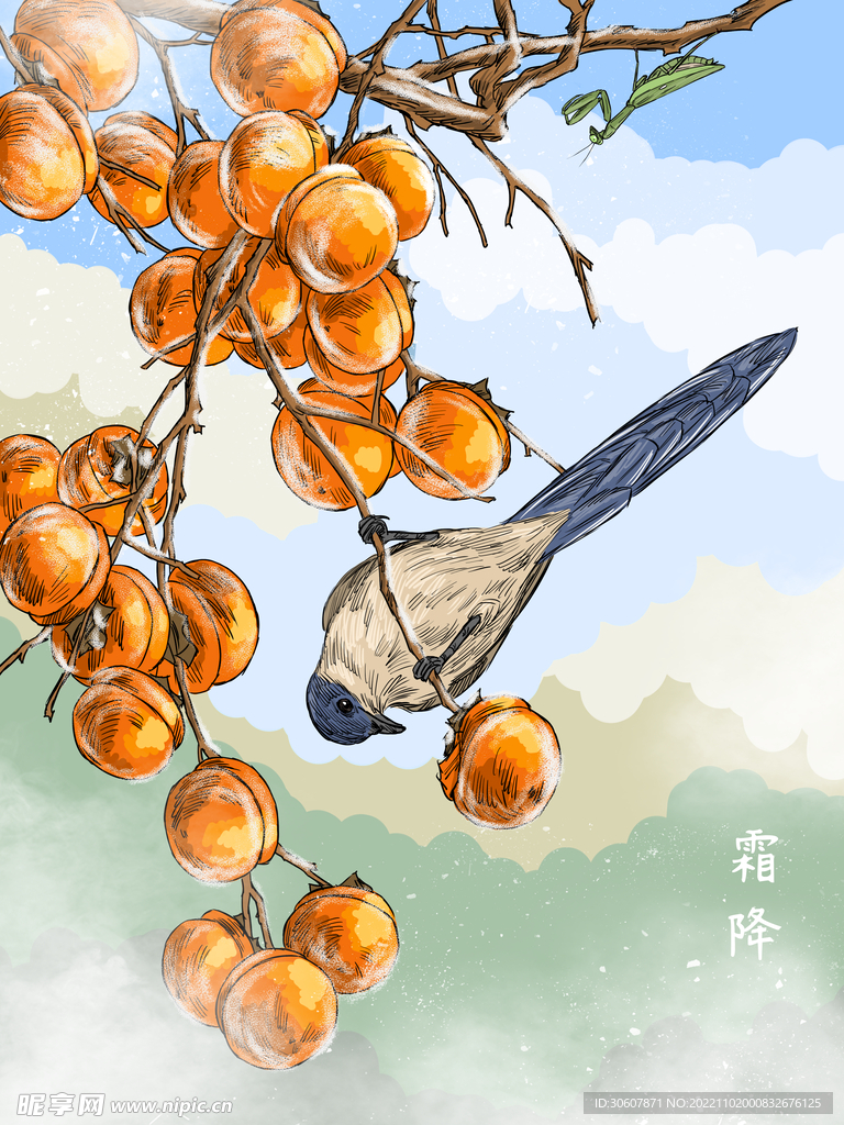 霜降海报