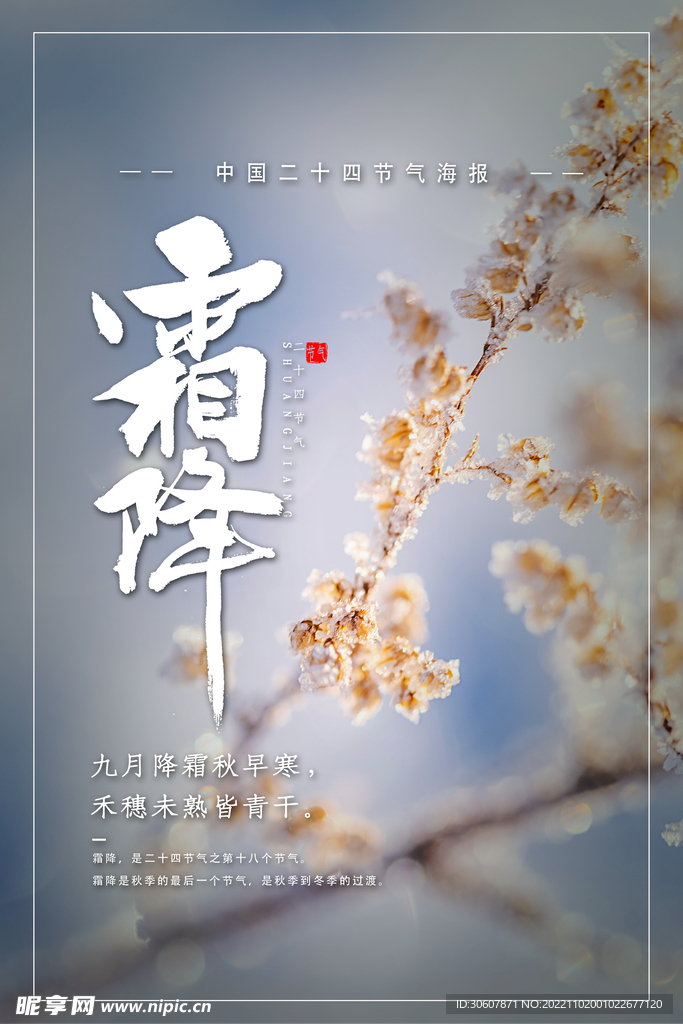 霜降海报