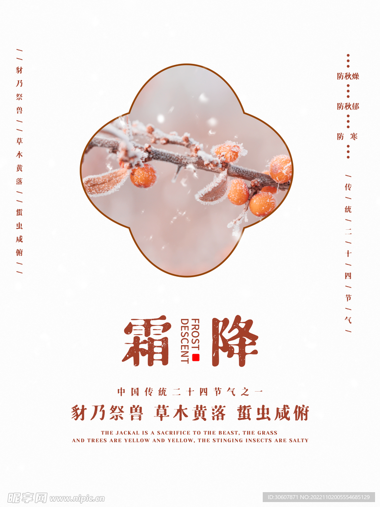 霜降海报