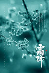 霜降海报