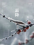 霜降海报