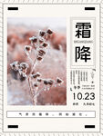 霜降海报