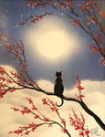 孤独的小猫咪