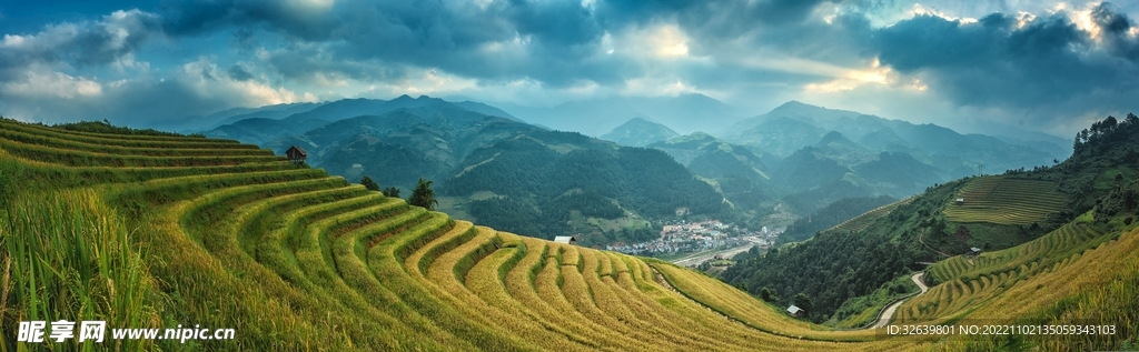 茶山