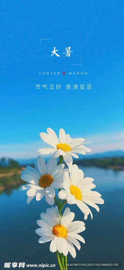 大暑海报