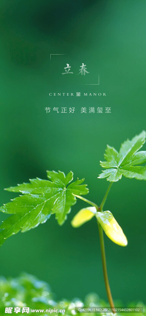 立春海报