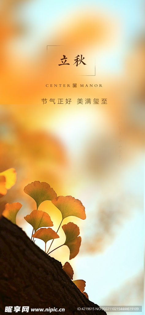 立秋海报