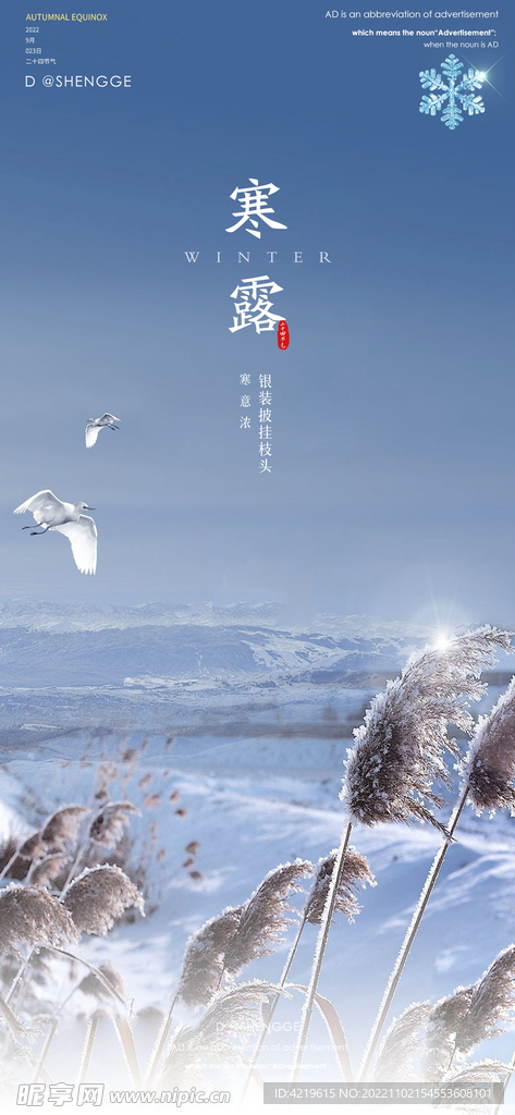 寒露海报