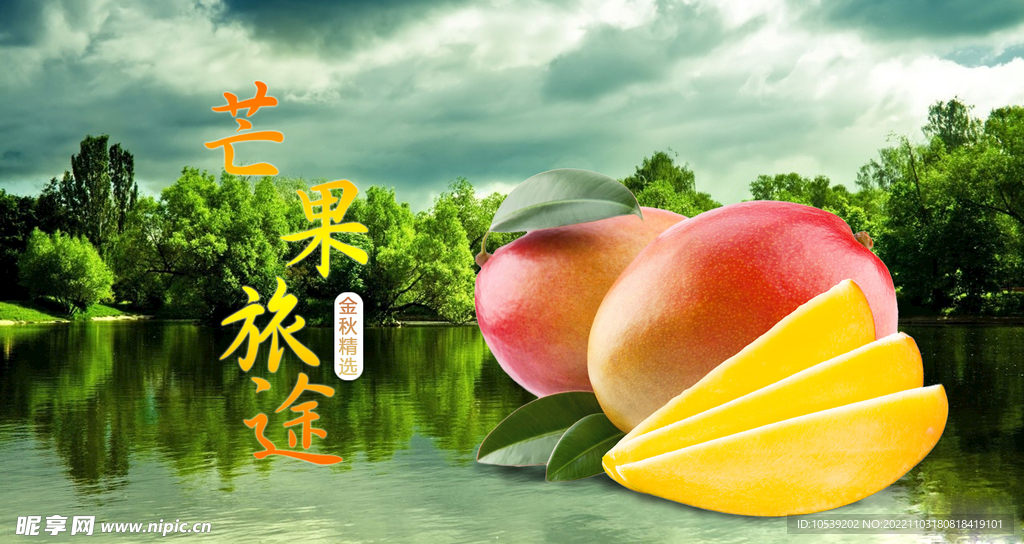 芒果