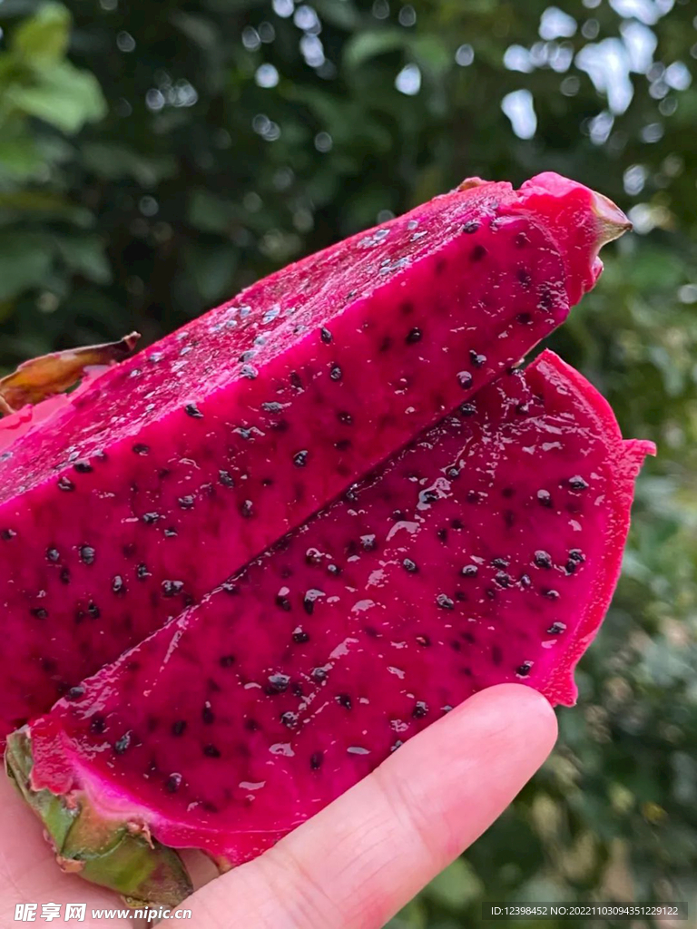 红心火龙果