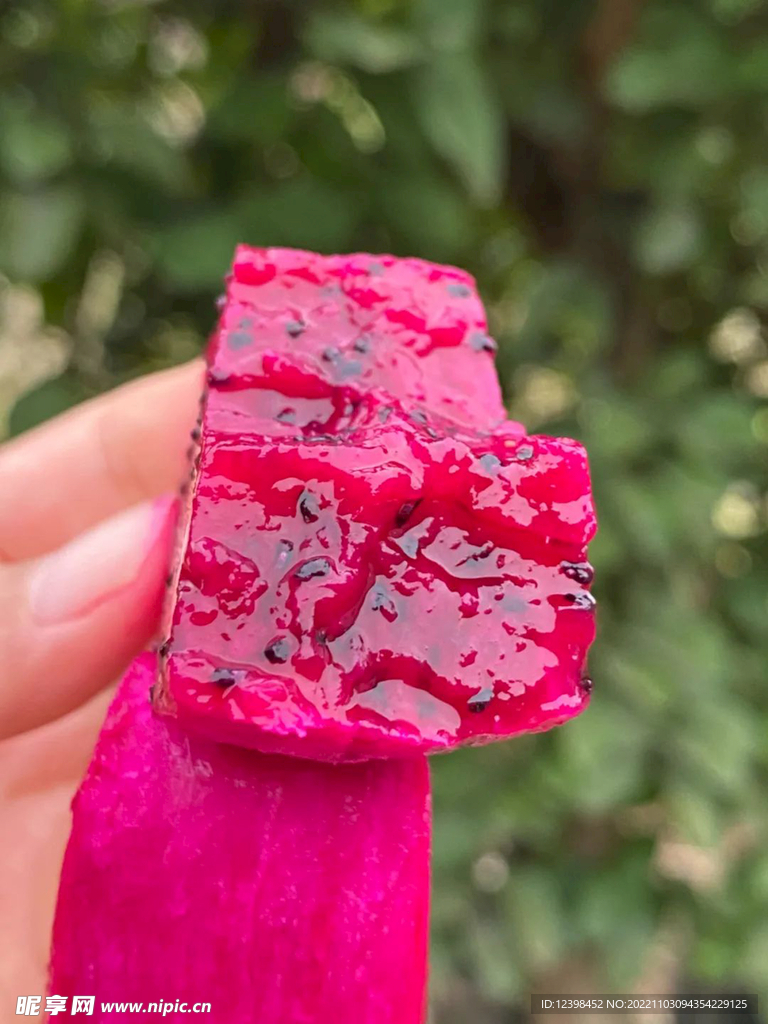 红心火龙果