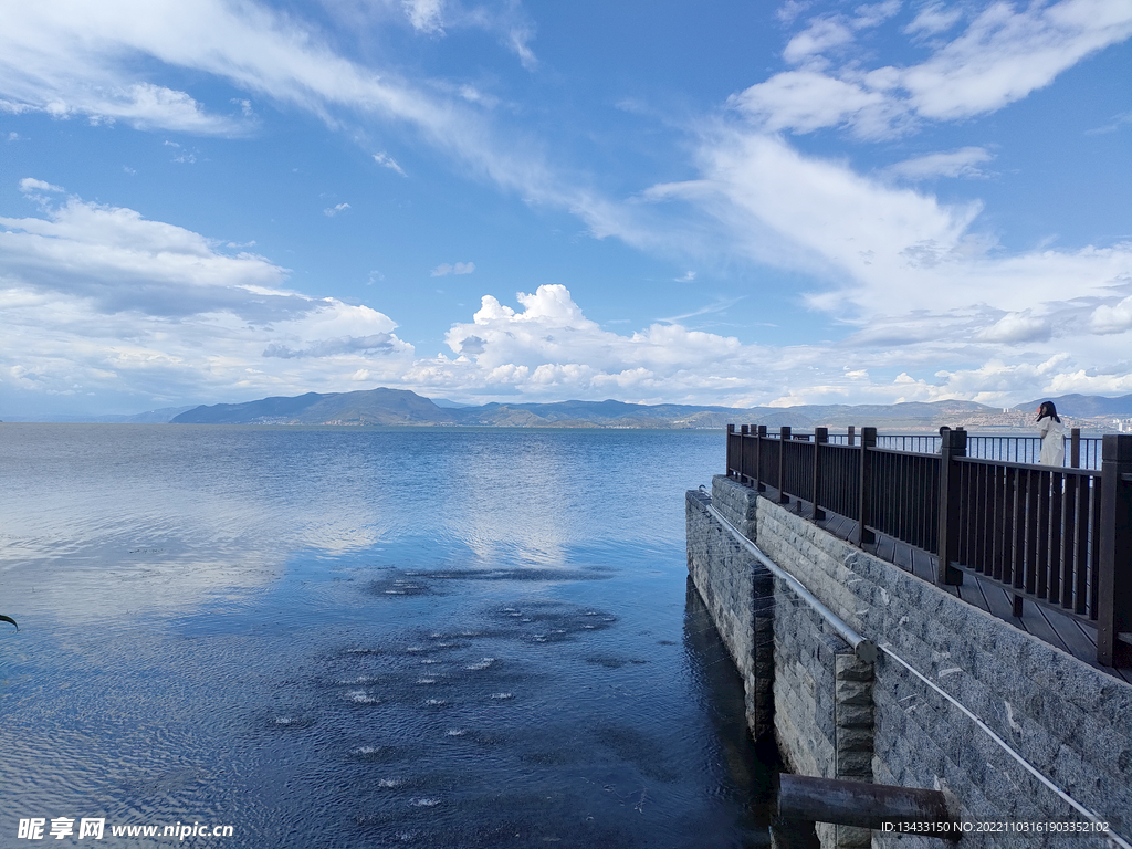 洱海海滨 湿地