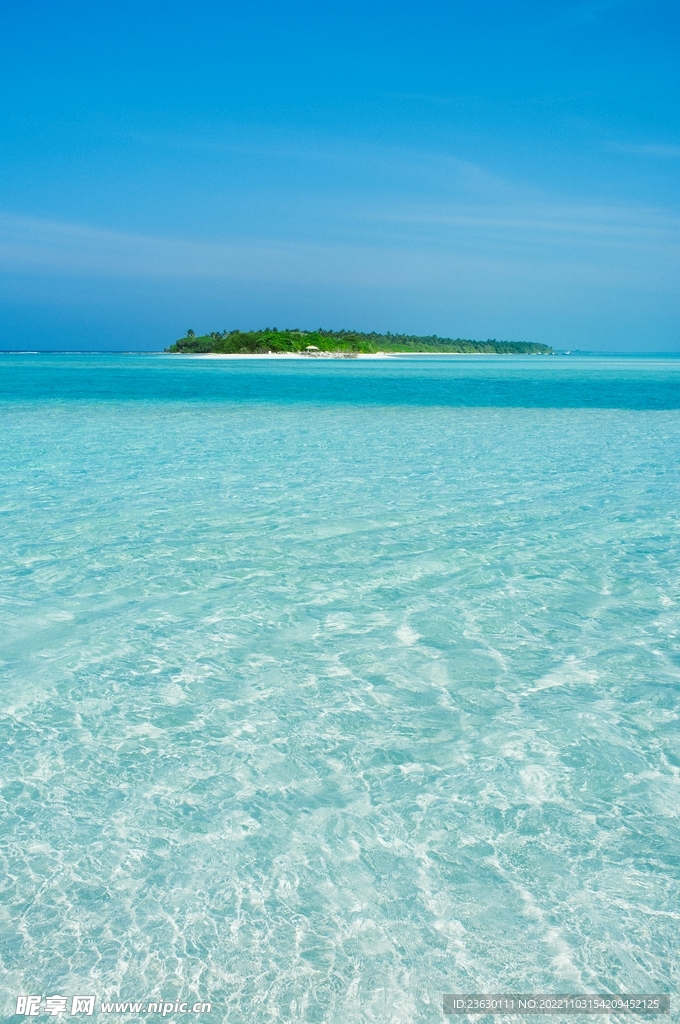 海水