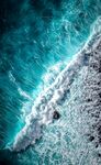 海