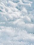 积雪
