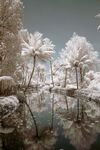 雪景