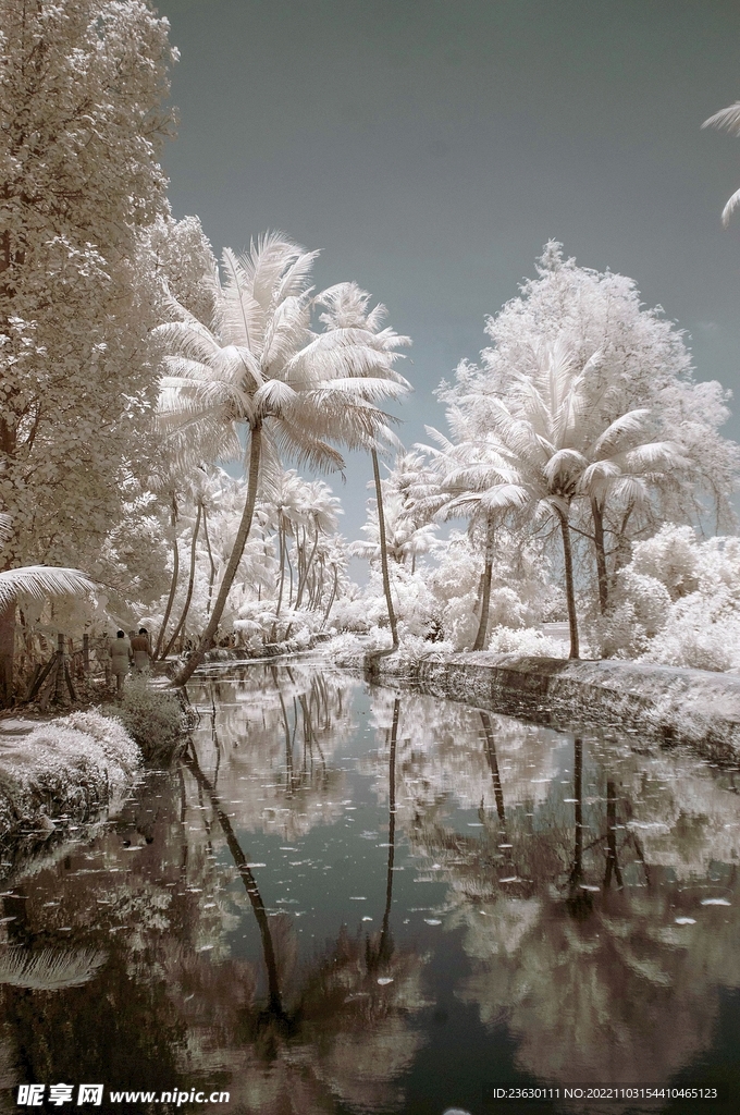 雪景