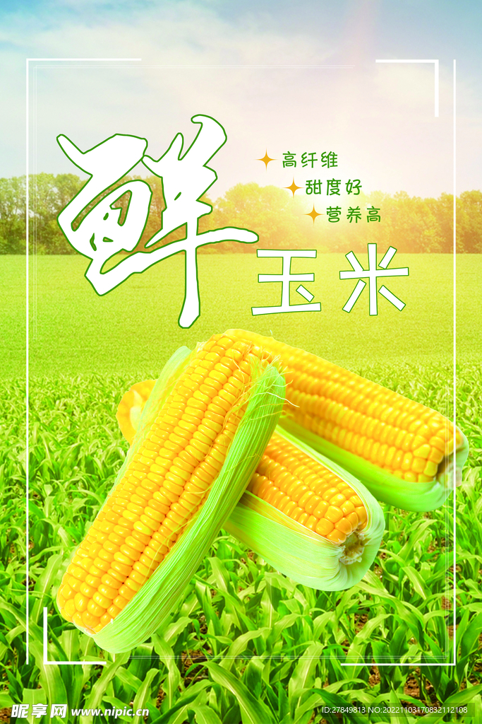 超市玉米促销