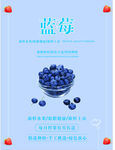 蓝莓海报