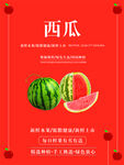 西瓜海报