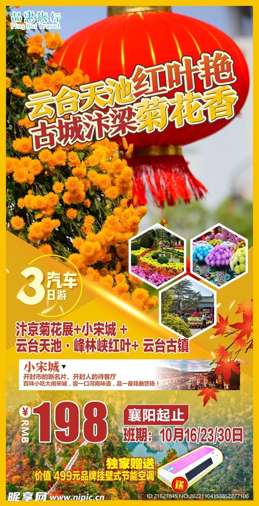 河南菊花展