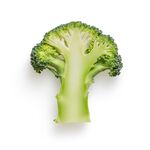 蔬菜