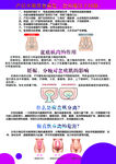 腹直肌宣传单